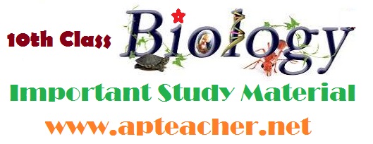 SSC/10th Class Biological Science  Important Study Material Telugu/English Mediums, Important Biological Science  SSC Study Material Telugu and English Mediums  