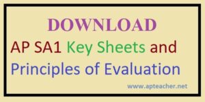 AP SA1 Key sheets All subjects