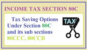 80C, 80CCC, 80CCD Tax Saving Options 